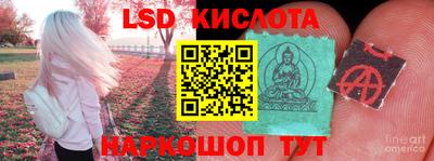 ГАЛЛЮЦИНОГЕННЫЕ ГРИБЫ Кимры