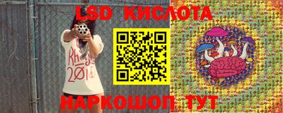 ГАЛЛЮЦИНОГЕННЫЕ ГРИБЫ Кимры