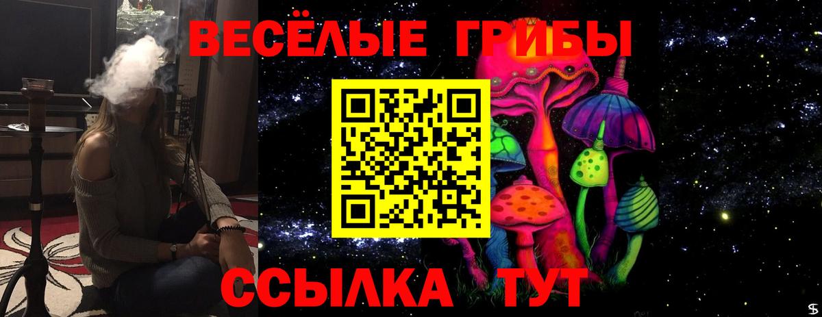 Псилоцибиновые грибы Psilocybe Кушва